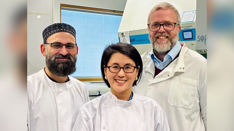 Researchers featured in the University of Aberdeen cerebroid press release